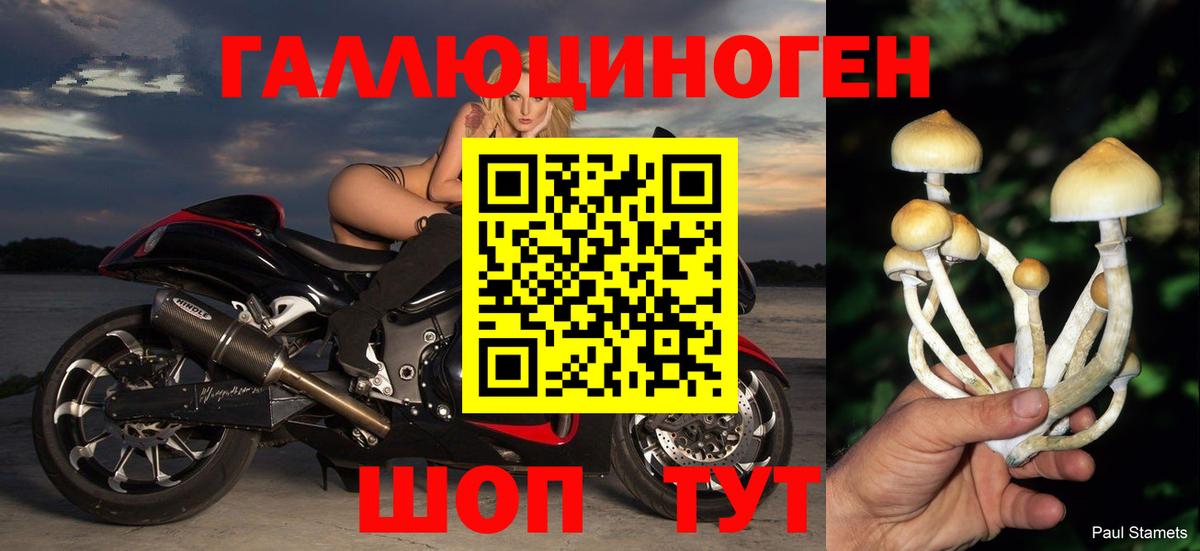 Саров  Галлюциногенные грибы Cubensis  Вход с VPN 