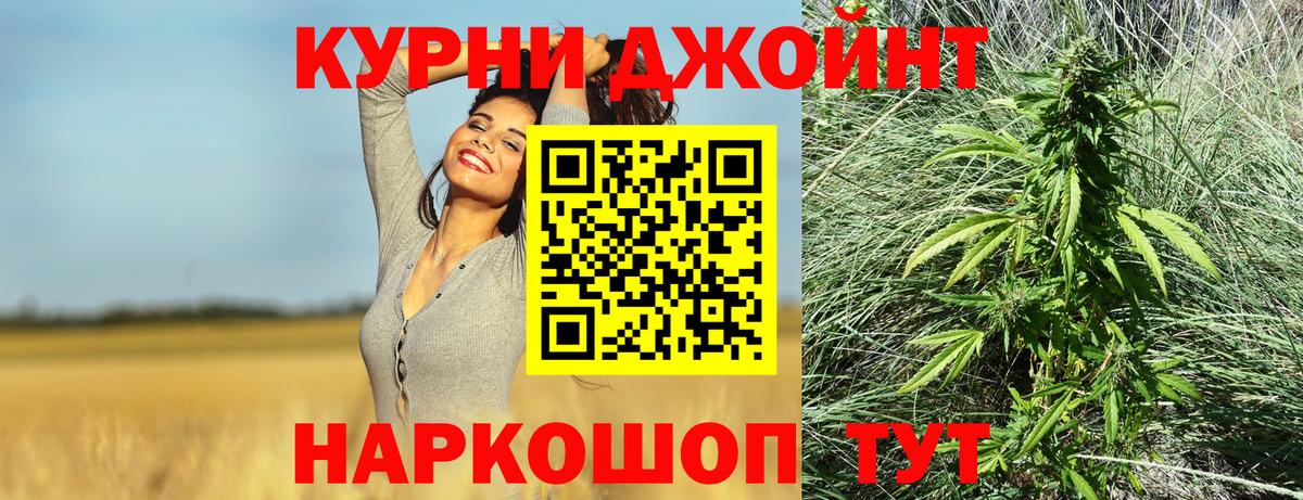 Бошки Шишки план Саров